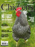 Chickens